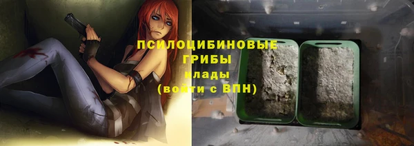 кокс Аркадак