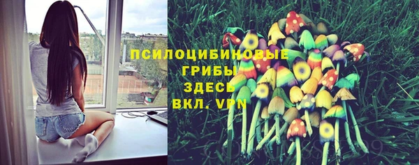 круглые Арсеньев