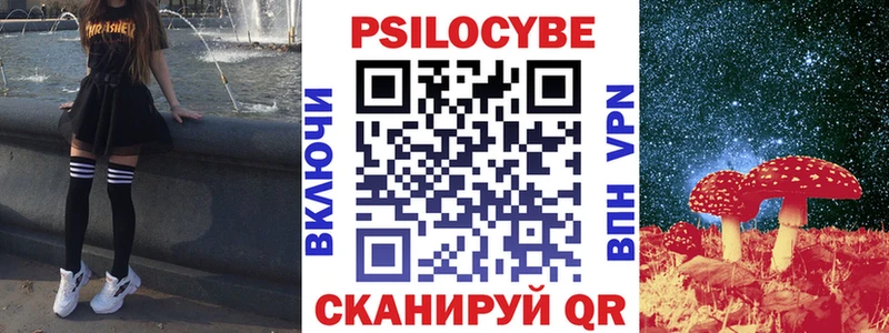 Псилоцибиновые грибы Cubensis kraken ТОР Верхняя Пышма